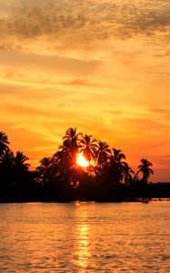 Preview wallpaper sea, palm trees, sunset, tropics, nature