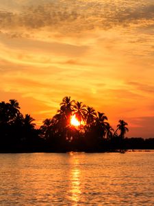 Preview wallpaper sea, palm trees, sunset, tropics, nature