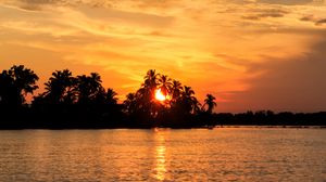 Preview wallpaper sea, palm trees, sunset, tropics, nature