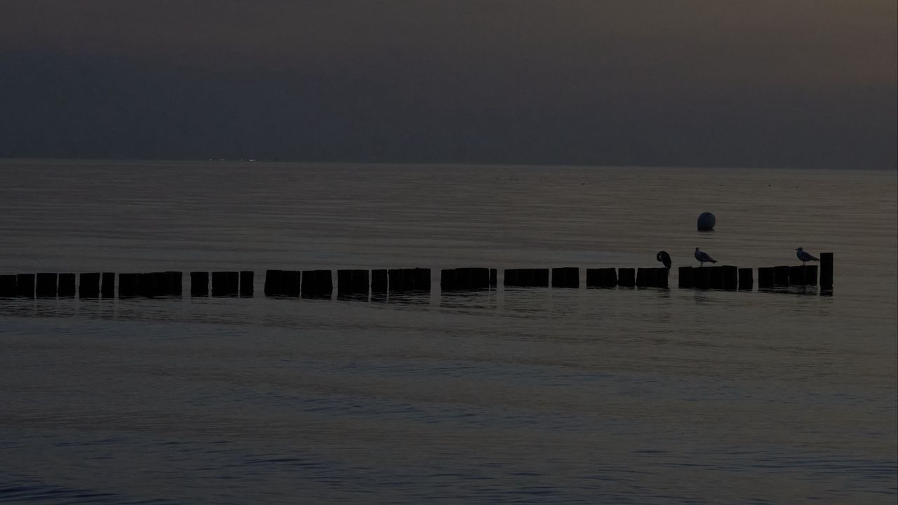 Wallpaper sea, pilings, night, moon, sky