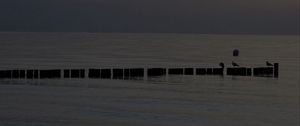 Preview wallpaper sea, pilings, night, moon, sky
