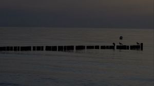 Preview wallpaper sea, pilings, night, moon, sky
