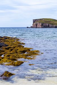 Preview wallpaper sea, reefs, rock, nature