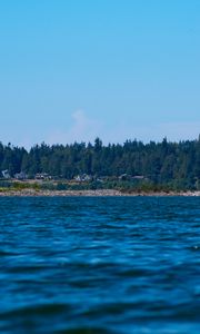 Preview wallpaper sea, ripples, forest, trees, buildings, nature