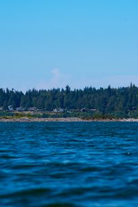 Preview wallpaper sea, ripples, forest, trees, buildings, nature