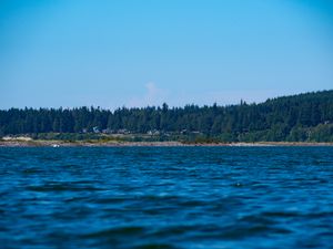 Preview wallpaper sea, ripples, forest, trees, buildings, nature