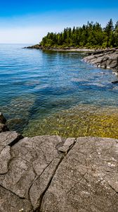 Preview wallpaper sea, ripples, water, stones, trees, nature