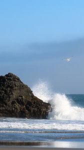 Preview wallpaper sea, rock, wave, seagull, beach