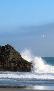 Preview wallpaper sea, rock, wave, seagull, beach