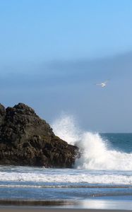 Preview wallpaper sea, rock, wave, seagull, beach