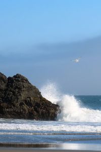 Preview wallpaper sea, rock, wave, seagull, beach