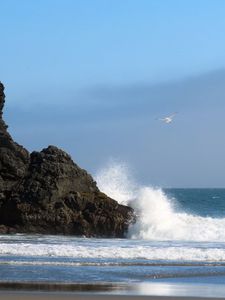 Preview wallpaper sea, rock, wave, seagull, beach