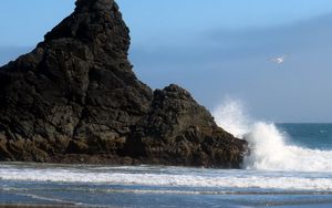 Preview wallpaper sea, rock, wave, seagull, beach