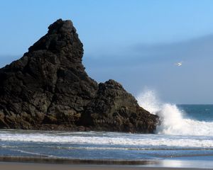 Preview wallpaper sea, rock, wave, seagull, beach