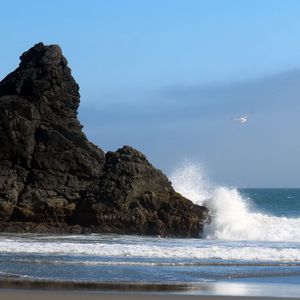 Preview wallpaper sea, rock, wave, seagull, beach