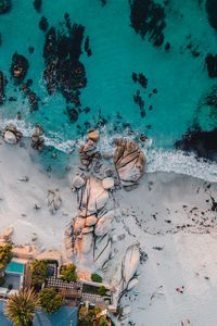 Preview wallpaper sea, rocks, beach, buildings, palm trees, aerial view