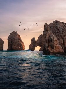 Preview wallpaper sea, rocks, birds, water, waves