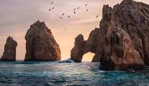 Preview wallpaper sea, rocks, birds, water, waves