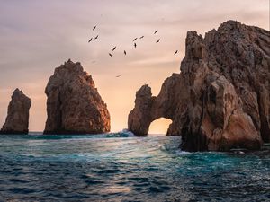 Preview wallpaper sea, rocks, birds, water, waves
