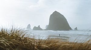 Preview wallpaper sea, rocks, coast, silhouette, nature
