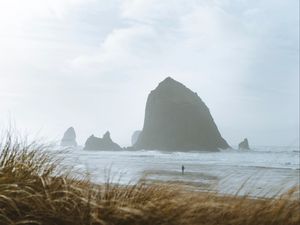 Preview wallpaper sea, rocks, coast, silhouette, nature
