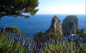 Preview wallpaper sea, rocks, flowers, grass