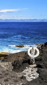 Preview wallpaper sea, rocks, lifebuoy, view