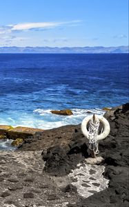 Preview wallpaper sea, rocks, lifebuoy, view