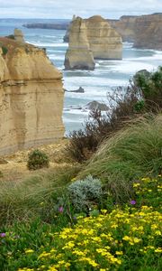 Preview wallpaper sea, rocks, stones, grass, flowers