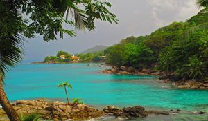 Preview wallpaper sea, rocky shore, palm trees, landscape