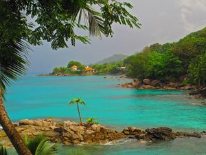 Preview wallpaper sea, rocky shore, palm trees, landscape