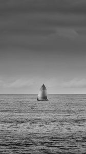 Preview wallpaper sea, sail, black and white, horizon