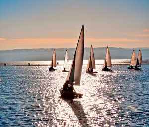 Preview wallpaper sea, sailing vessels, sun, clearly, day, reflection