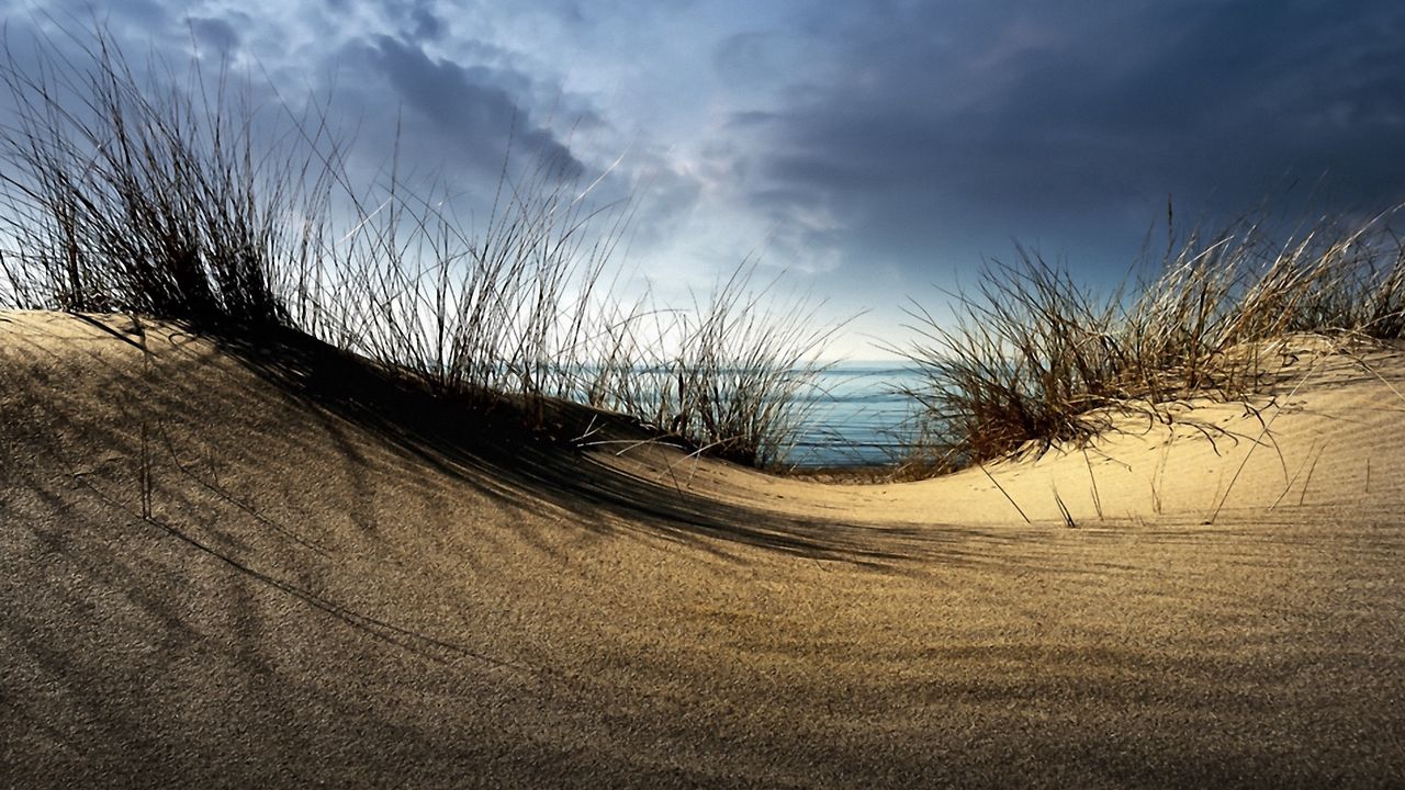 Wallpaper sea, sand, grass, hill, cloudy, coast, hollow