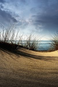 Preview wallpaper sea, sand, grass, hill, cloudy, coast, hollow