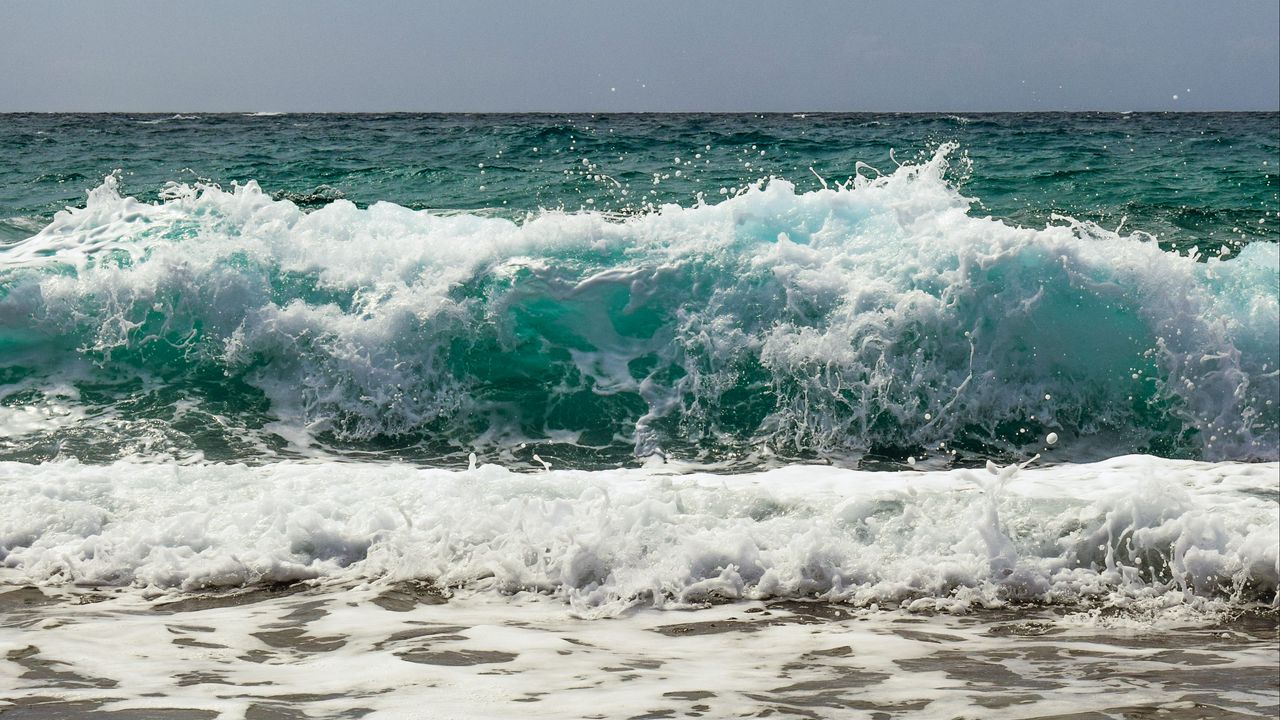 Wallpaper sea, shore, foam, surf