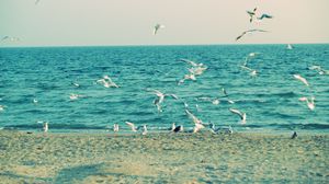 Preview wallpaper sea, shore, seagulls, sand, waves