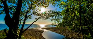 Preview wallpaper sea, shore, trees, light, sand