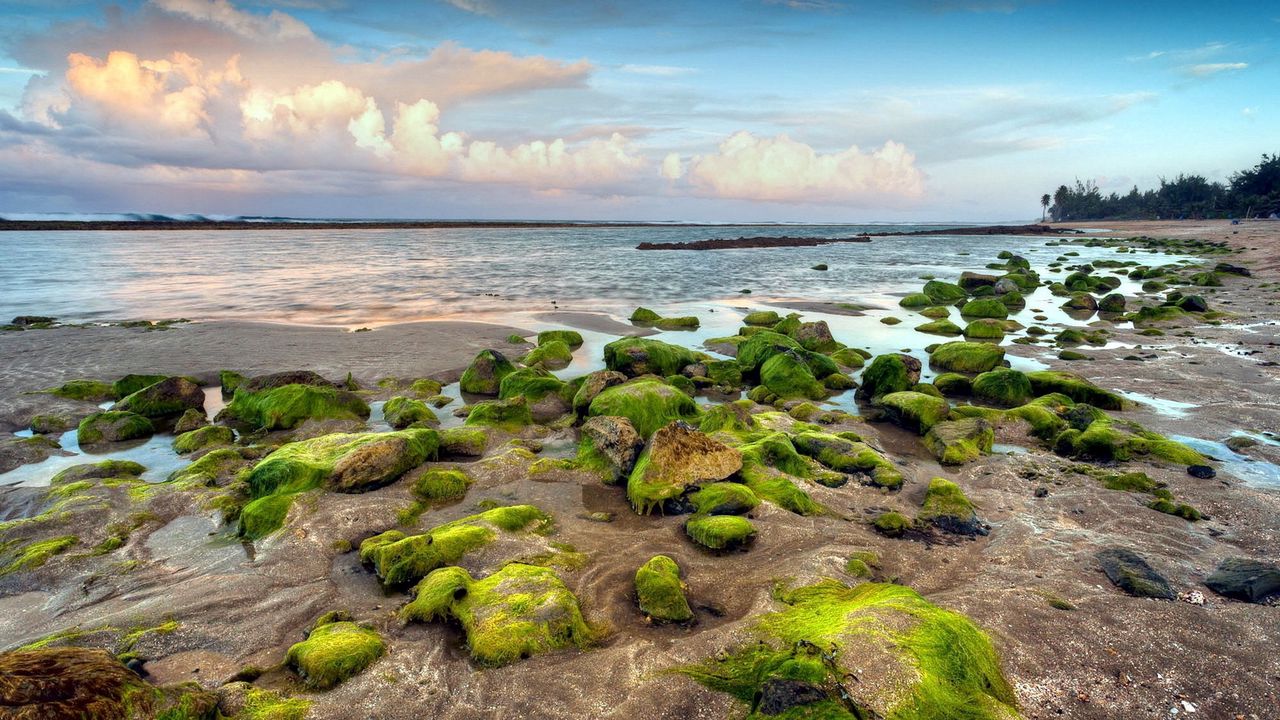 Wallpaper sea, sky, coast, stony, moss, vegetation, relief