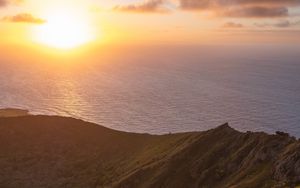 Preview wallpaper sea, slope, cactus, nature