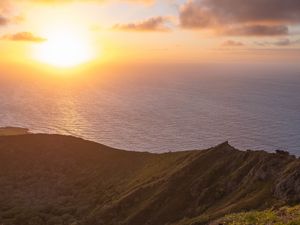 Preview wallpaper sea, slope, cactus, nature