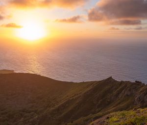 Preview wallpaper sea, slope, cactus, nature