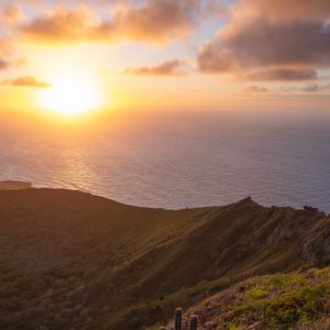 Preview wallpaper sea, slope, cactus, nature