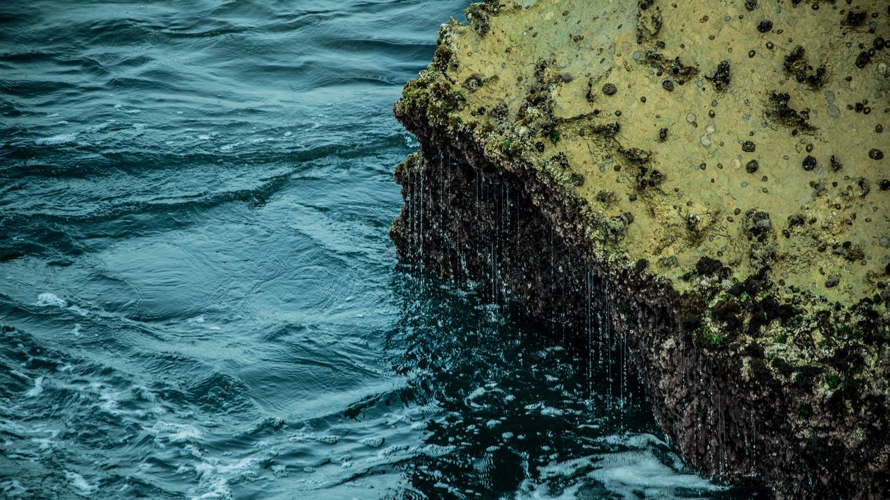 Wallpaper sea, stone, drops, nature