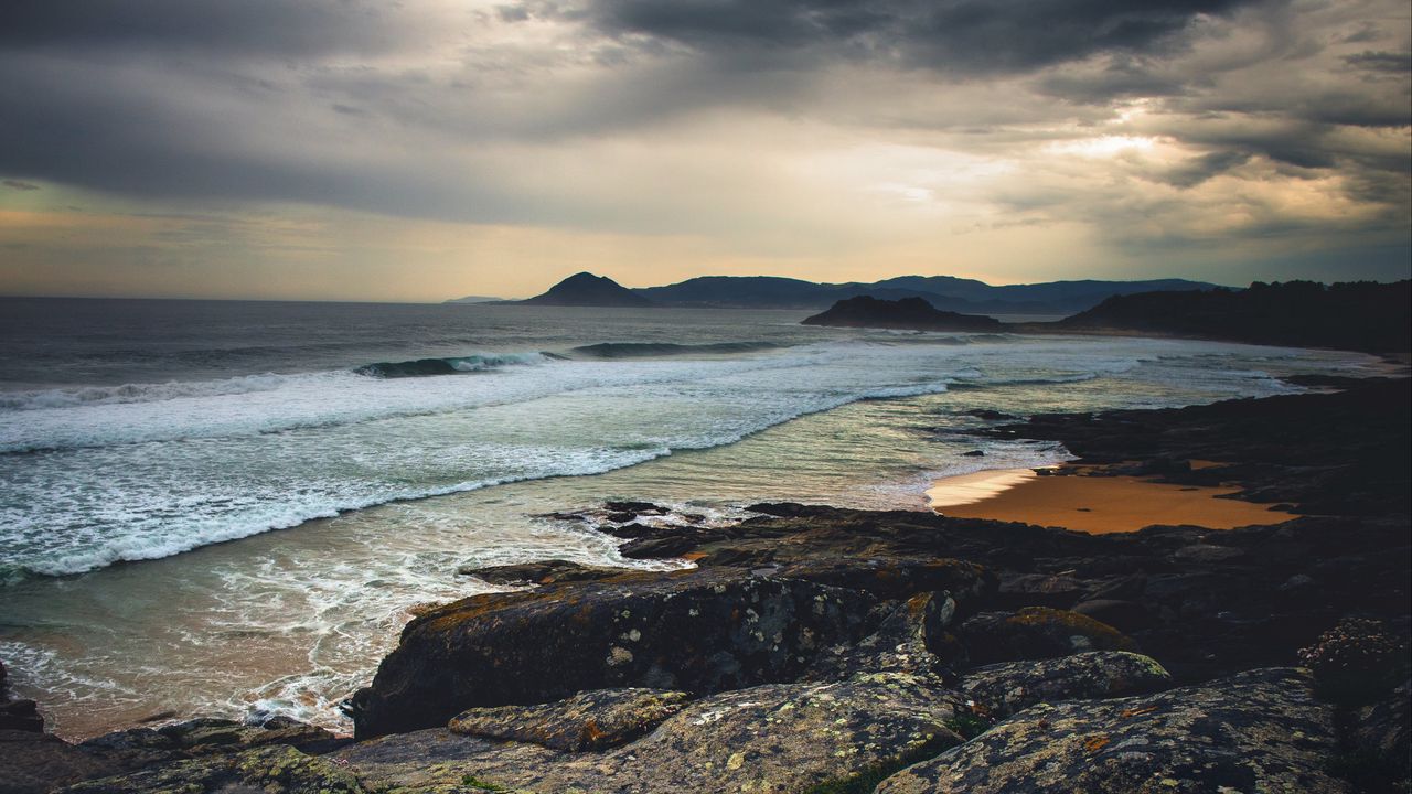 Wallpaper sea, stones, flowers, coast, nature