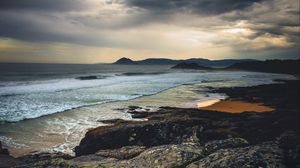 Preview wallpaper sea, stones, flowers, coast, nature