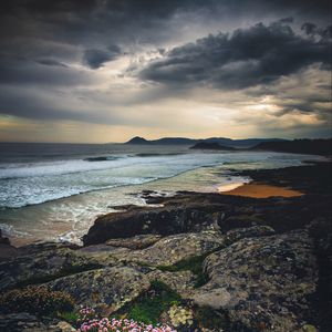 Preview wallpaper sea, stones, flowers, coast, nature