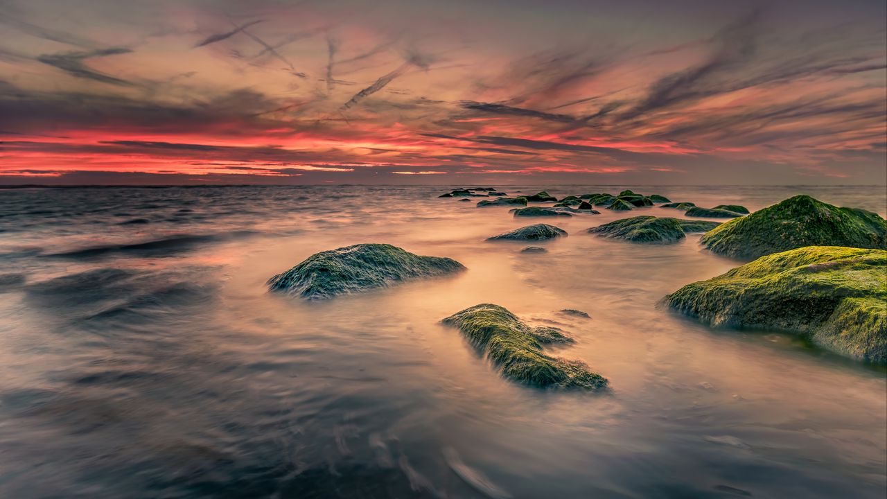 Wallpaper sea, stones, moss, landscape, nature