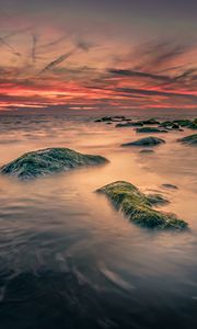 Preview wallpaper sea, stones, moss, landscape, nature