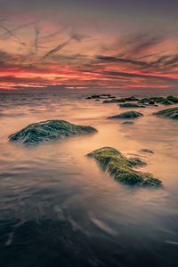 Preview wallpaper sea, stones, moss, landscape, nature